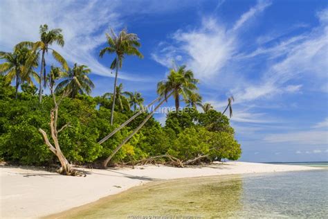 awl imagescom malaysia idyllic tropical beach nr semporna sabah