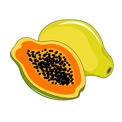 Ilustra O Em Vetor De Uma Fruta De Mam O Vetor Premium