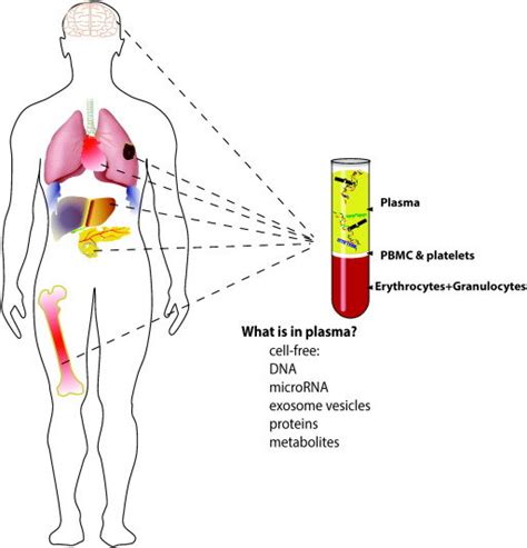 Circulating Biomarkers Circulating Cell Free Plasmaserum Biomarkers