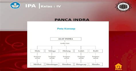 Materi Ipa Kelas 4 Semester 1 Panca Indra Pptx Powerpoint