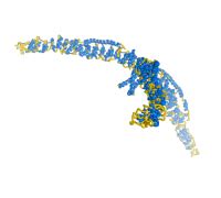 "clathrin" 3D Models to Print - yeggi