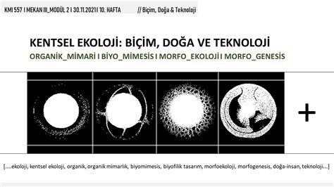 Lecture Notes-1 on Behance