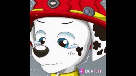 Sad Paw Patrol Edit Youtube