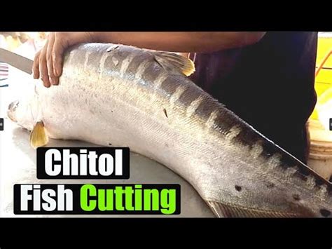 Amazing Ayer Fish Cutting Skills Live In Fish Market YouTube