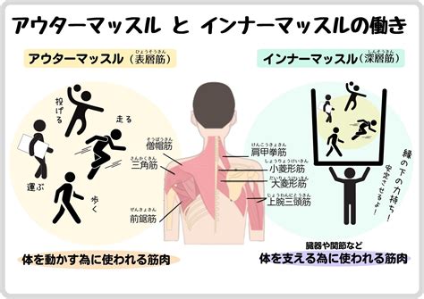 インナーマッスルとアウターマッスル V ほねつぎ大幸院 院長のブログ