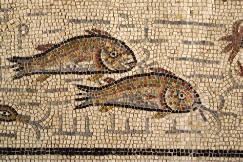 Mosaïque aux Poissons Lugdunum Musée et théâtres romains