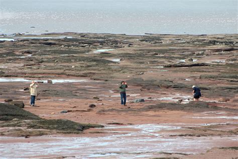 Experience The Tidal Bore On The Bay Of Fundy In Gorgeous Nova Scotia