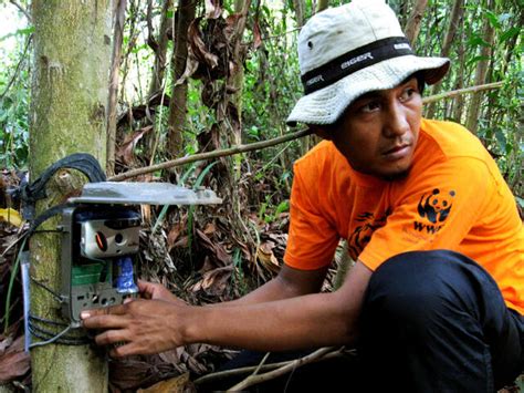 Camera Traps Initiatives Wwf