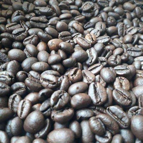 Jual Biji Kopi Bubuk Robusta Gayo Takengon ACEH 1kg 1 Kg HARUM