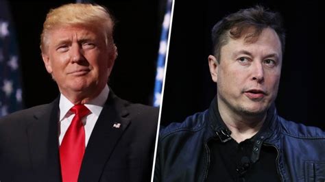 Elon Musk Reinstates Donald Trumps Twitter Account