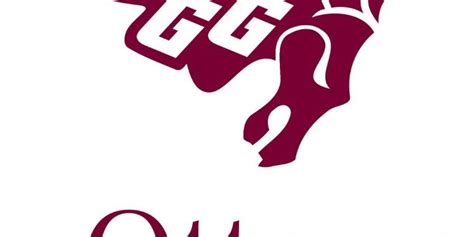 Nph Cis Team Previews Ottawa Gee Gees North Pole Hoops