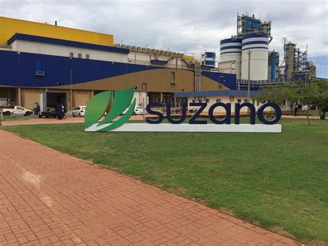 Companhia Suzano abre inscrições para Programa de Estágio 2022 O Novo