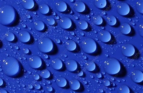 Water Droplets Stock Image A310 0160 Science Photo Library