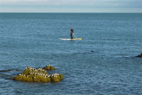 Pratiquer Les Sports Nautiques Tout En Pr Servant La Biodiversit