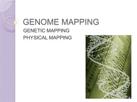 Genome Mapping