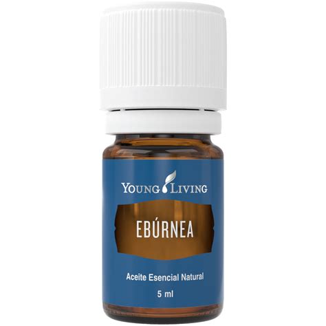 Ebúrnea 5 ml Aceite Esencial YL Dieta Salud