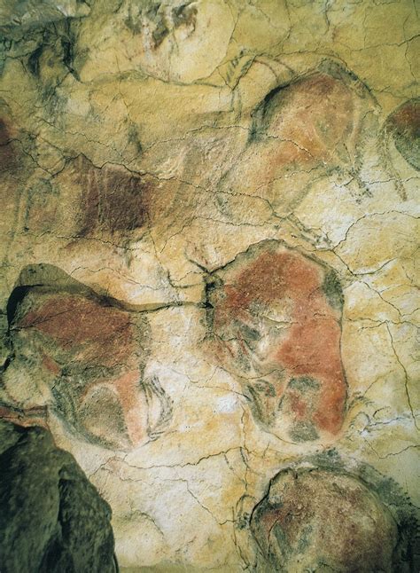 Bison Detail Of A Painted Ceiling In The Altamira Cave Santander