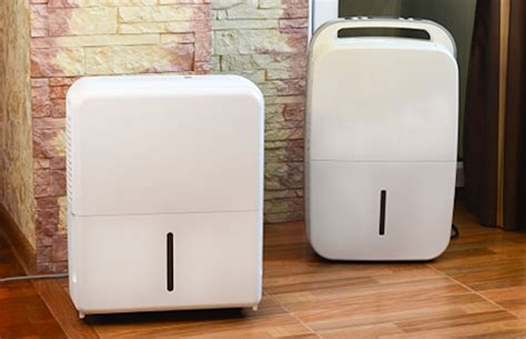 How A Dehumidifier Can Help With Mold And Mildew Growth Kridovia