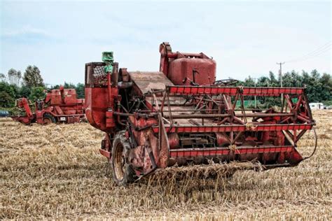 Free Images Field Farm Wheat Grain Asphalt Summer Transport