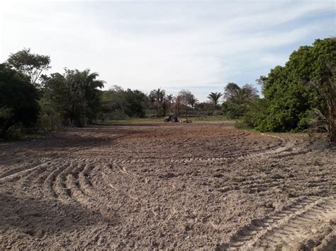 Prefeitura De Pau D Arco Do Piau Realiza Ara O De Terras De Agricultores