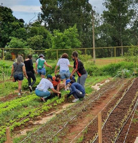 Proposta institui plano nacional de incentivo a hortas comunitárias