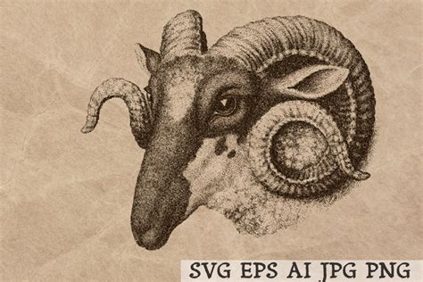 Ram Portrait Clip Art Vintage Engraving Illustration