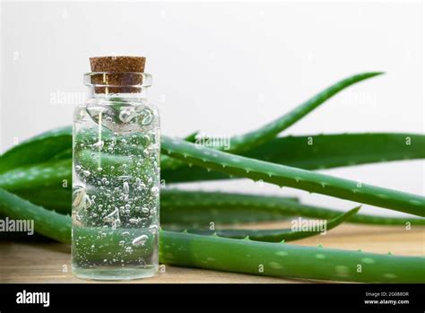 Aloe Vera Gel Hi Res Stock Photography And Images Alamy