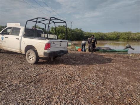 Activa Sspc Labores De Seguridad Para Conserva De La Especie De Camar N