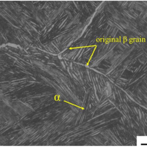 The Original Microstructure Of The Ti 6Al 2V 0 5ZR 1 5Mo Alloy