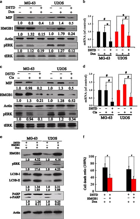 Dstd Reversed The Upregulation Of Hmgb During Chemotherapy In