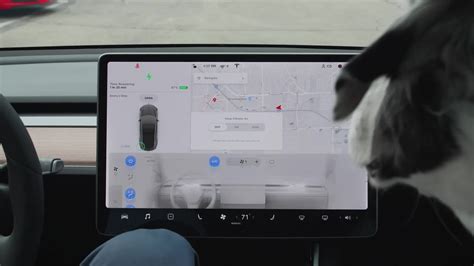 Heres How Dog Mode Works On The Tesla Model 3