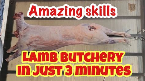 How To Butcher Lamb In 3 Minutes 3 Minute Butchery Lamb Butchery