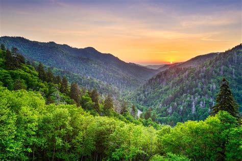 Explore Gatlinburg's Best Attractions: A Top 10 Guide