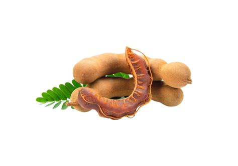 Tamarind Png Transparent Background 29721596 PNG