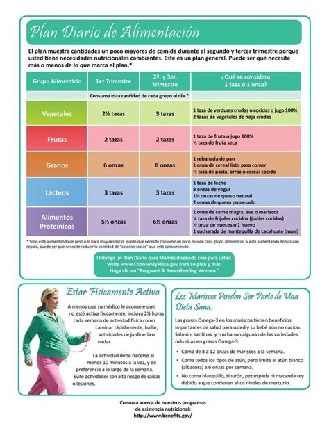 Plan De Alimentación En El Embarazo Alimentacion Embarazo Dieta Embarazo Y Recetas De Sopa De