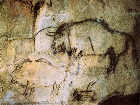 THE UNIFIED FIELD ORGAN PROJECT: THE BISON CAVE PAINTING THEORY