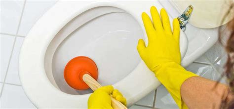 Clogged Toilet Repair Services in Houston | Nick's Plumbing