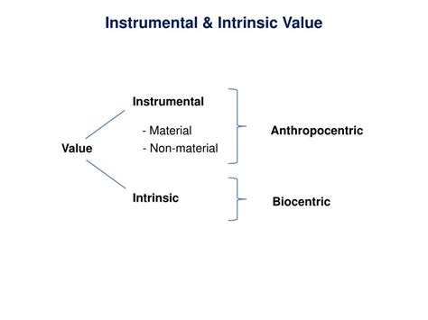 Ppt Conservation Values And Ethics Powerpoint Presentation Free