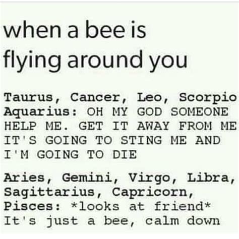 Aries So True It Happened Today And I Was Like Stop Screaming Mate