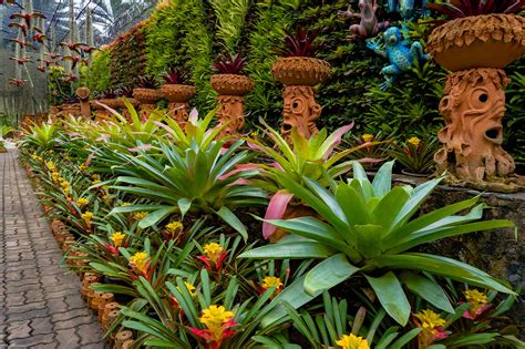 One of the most beautiful Garden in the world - Nong Nooch Tropical Garden & Cultural Village ...