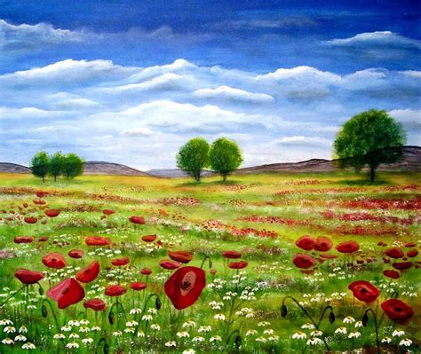 Blumenfeld Landschaft Feld Blumen Mohn Von Mike Kunstnet