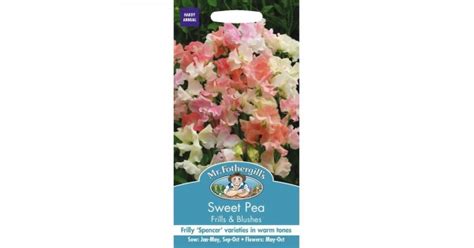 Seminte Lathyrus Odoratus Sweet Pea Frills Blushes Sangele