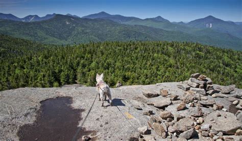 The View From Cascade Mountain - - The Adirondack Almanack