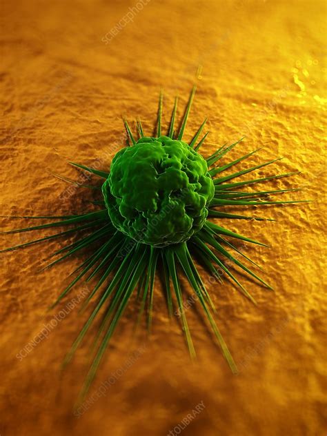 Cancer Cell Artwork Stock Image F004 1438 Science Photo Library