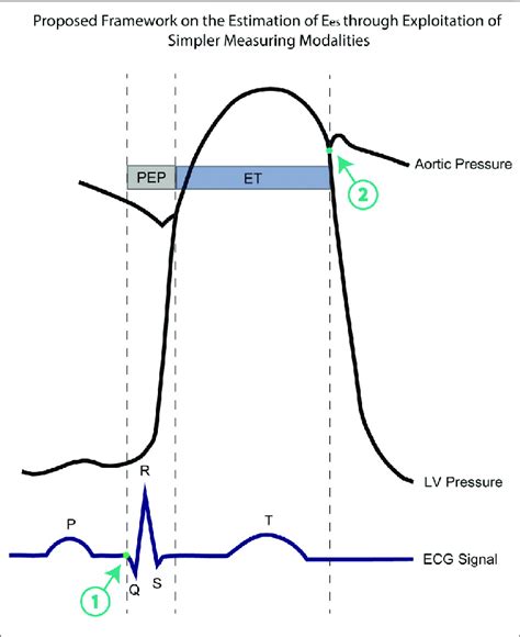 Representation Of The Aortic Pressure Waveform The Left Ventricular