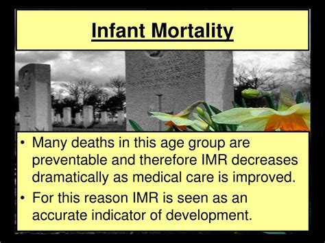 Ppt Mortality Rates Powerpoint Presentation Free Download Id 6671724