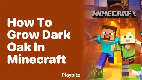 How To Grow Dark Oak In Minecraft Playbite