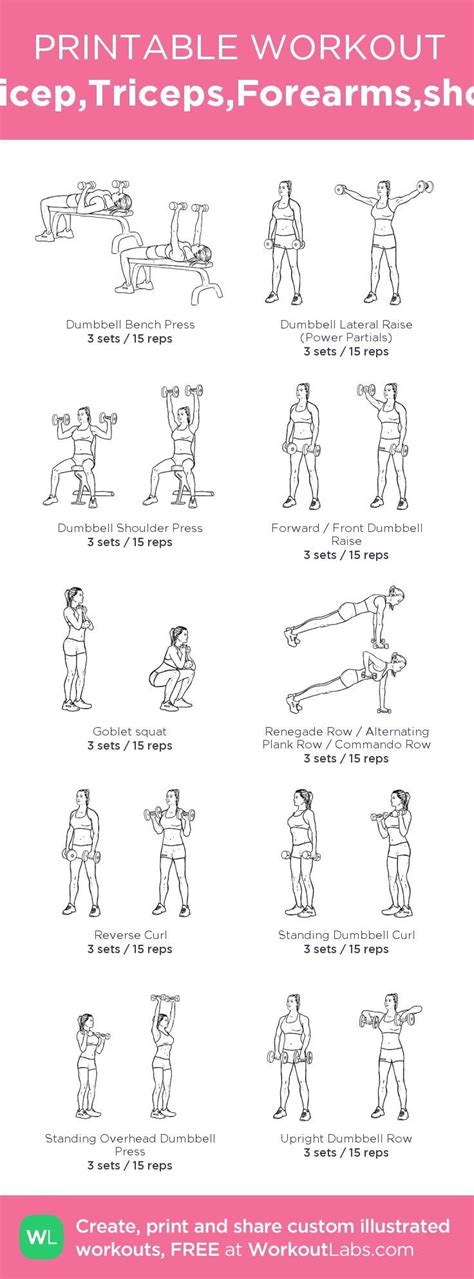 Arms Bicep Triceps Forearms Shoulders · Free Workout By Workoutlabs