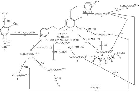 Scheme Pathways Of The Ei Mass Fragmentation Of The Molecular Ions M