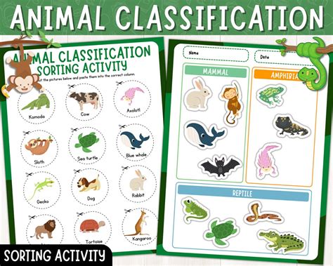 Animal Classification Sort: Mammals, Reptiles, and Amphibians Sort and ...